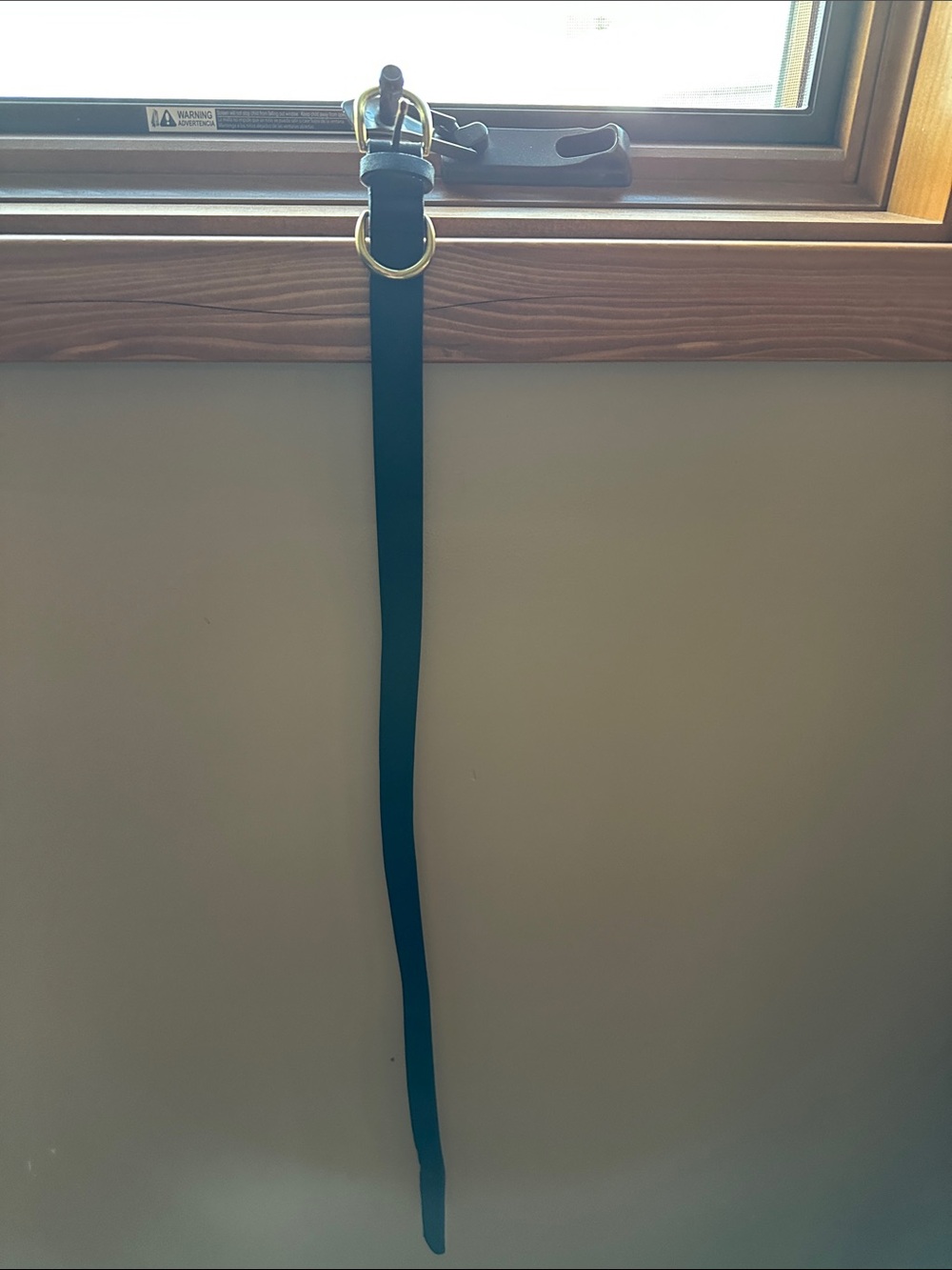 Target Black Belt with Gold Buckle and O-Ring Accent